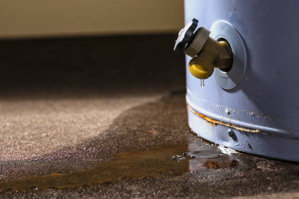 Best Professional water damage repair  in Cleveland, GA