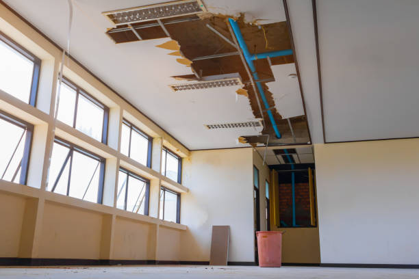 Best 24/7 water damage repair  in Cleveland, GA