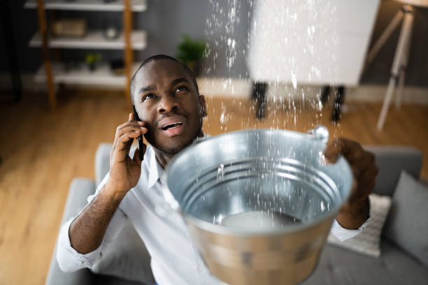 Best Fire Damage Restoration  in Cleveland, GA