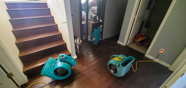 Best Commercial water damage restoration  in Cleveland, GA