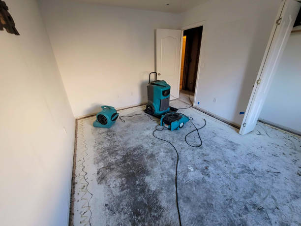 Best Water damage restoration mold remediation  in Cleveland, GA