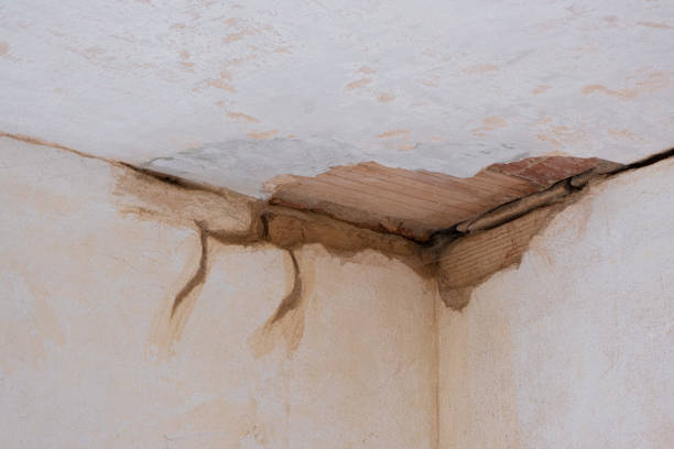 Best Ceiling water damage repair  in Cleveland, GA