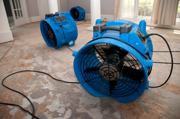 Best Local water damage restoration  in Cleveland, GA