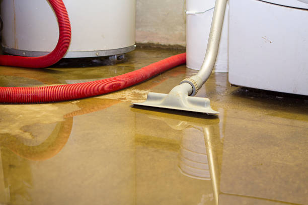 Cleveland, GA Water damage restoration Pros