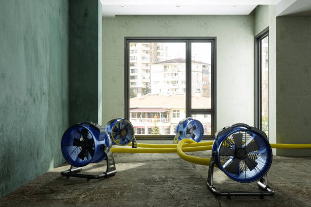 Best Mold removal after water damage  in Cleveland, GA