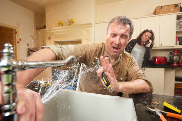 Best Flood restoration services  in Cleveland, GA
